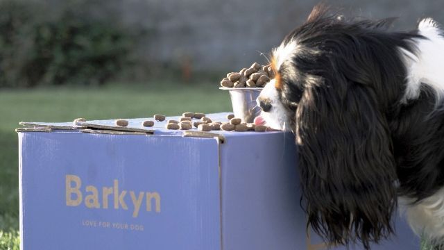 barkyn pienso es buen pienso barkyn
