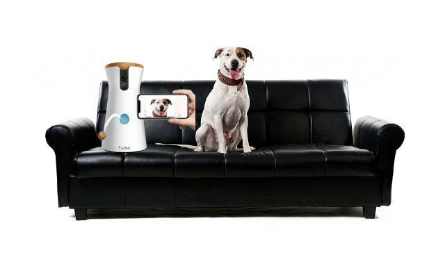 furbo camara hd vigilar perro Que tal funciona furbo camara para vigilar perro