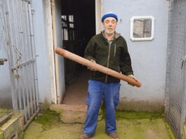 Mi gallinero con gallinas, palomas y codornices